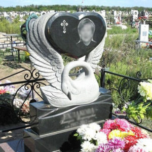 Лебедь с сердцем