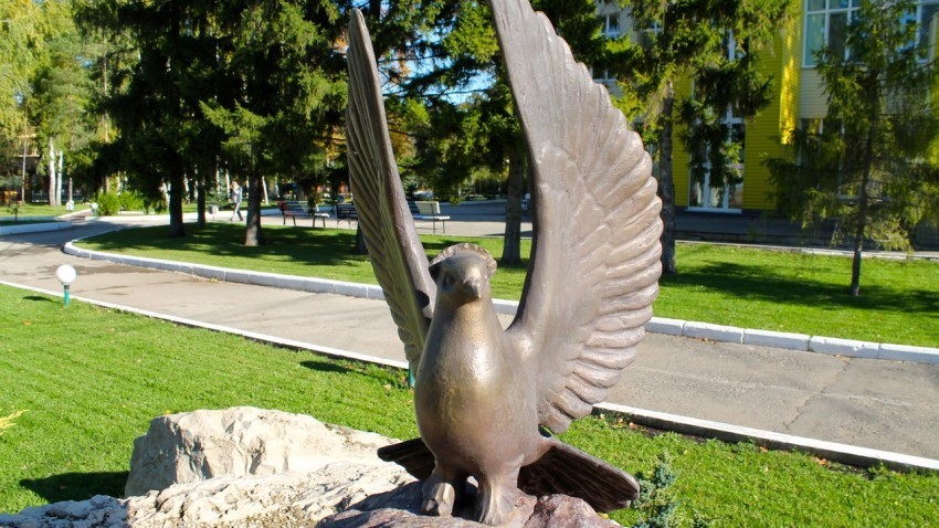 Каким птицам установлены памятники